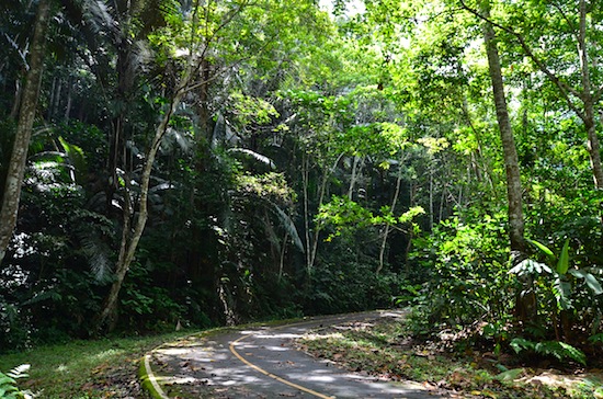 Welcome to the jungle.