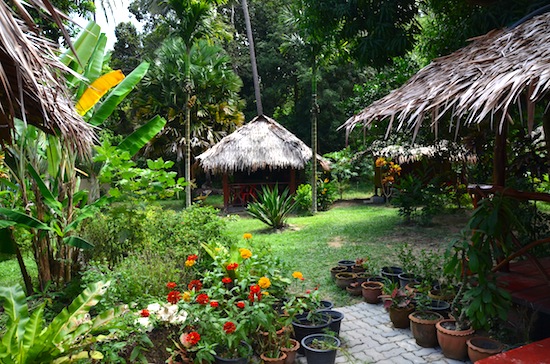 Paradise found.