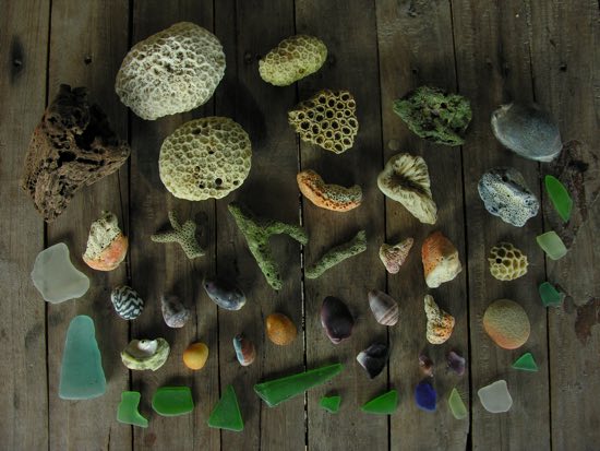 Ko Bulon Lae: A slow day bounty.