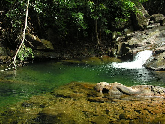 Enjoy your swim.