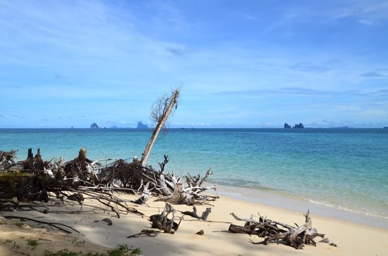 Even the flotsam is cool.