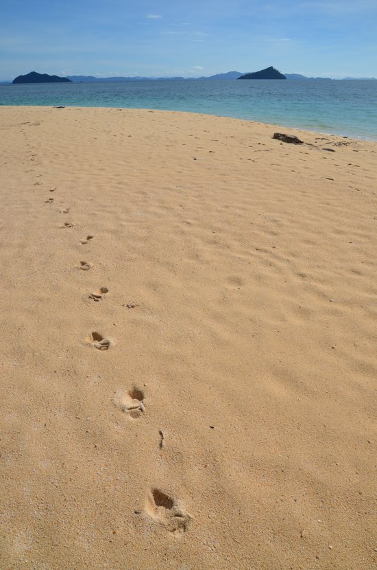 Another day with the hordes beachside.
