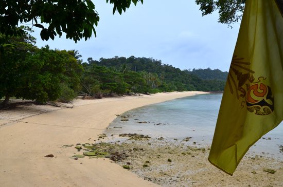 Just you, a beach, and a flag.