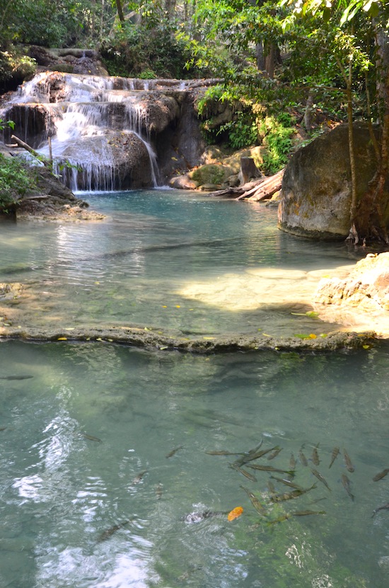 The fish are Erawan's true locals.