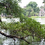 A hop, skip and a jump from the lake