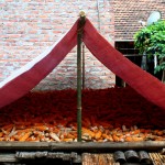 Corn is so important that it's given its own tent