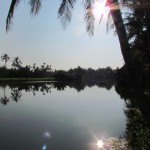 The view from Son - Slow food, slow living.