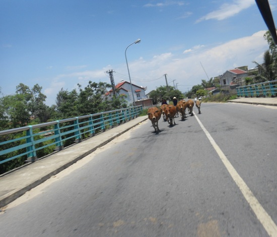 Be wary of unlicensed road users.