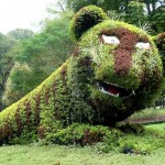Rawr.