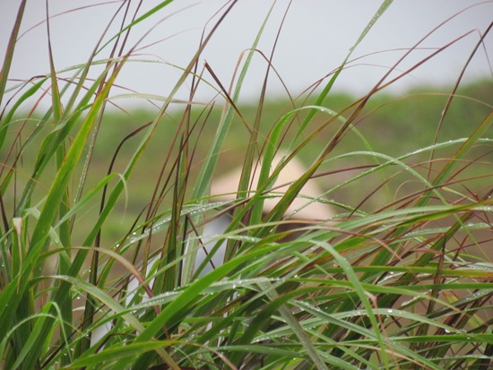 Hoi An is naturally a photographers playground. Some of the best shots you will get are free.