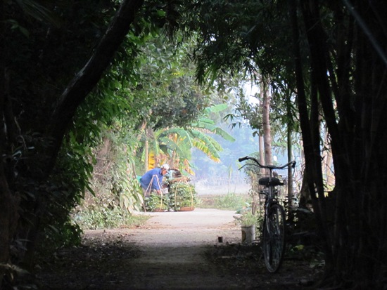 Halfway between beach and town.