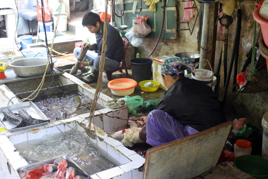 The fish is fresh, and not from West Lake (so we're told).
