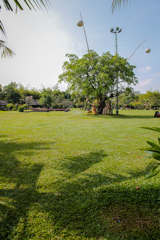 Open spaces and old Tet decorations.