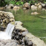 springs