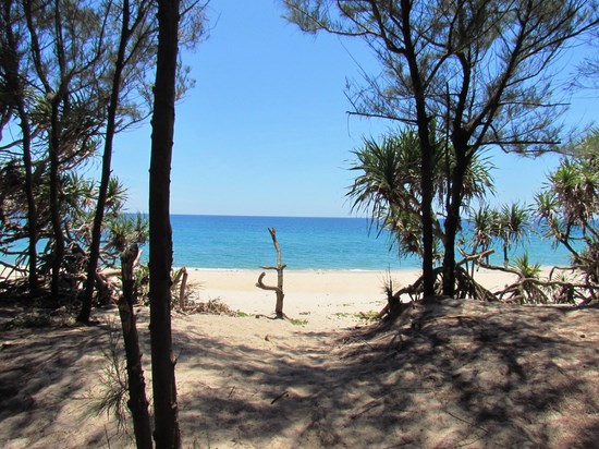 The shaded 50 meter stroll down to the beach.