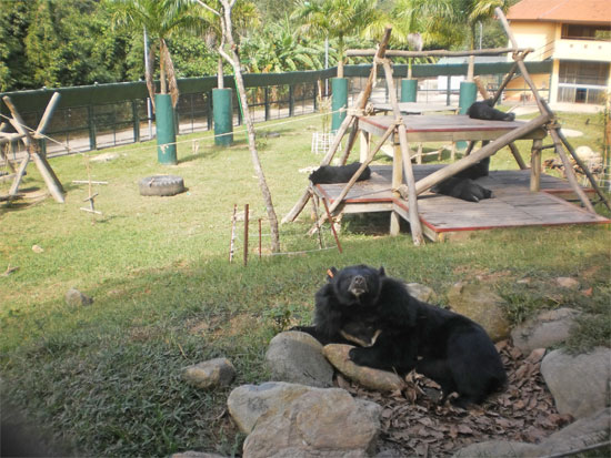 Who's a happy bear?