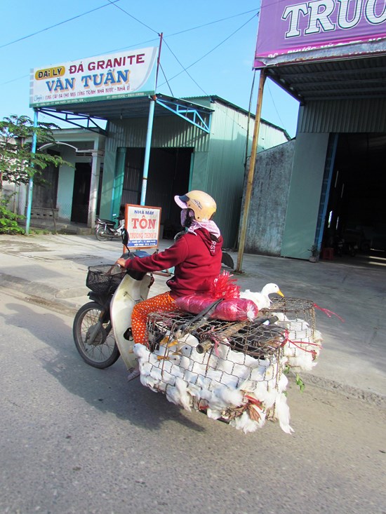 The essential market restock for the chao vit (a rice and duck porridge) lady.