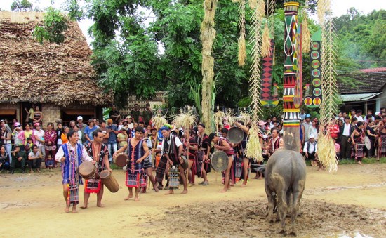 The Co Tu Harvest festival celebrations.