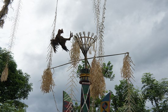 The grand finale - Chicken Tossing.