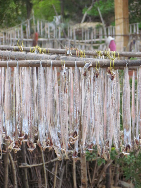 Fish bunting; an aromatic alternative to the endless silk lanterns of the old town.