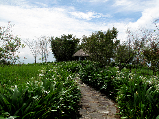 For a bit of privacy, follow the path.
