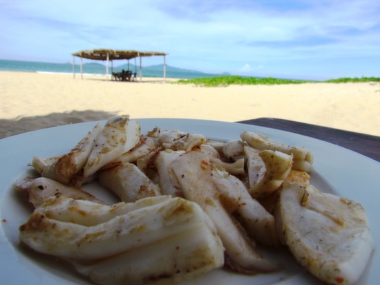 Squid, with a view.