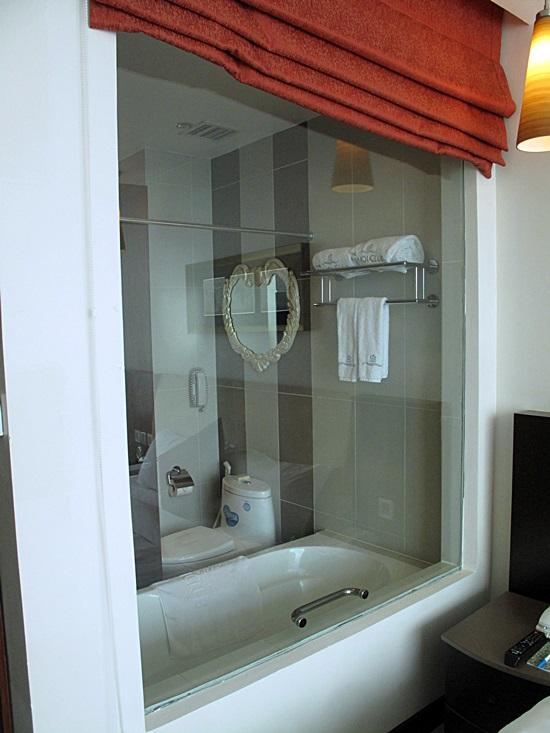 We're not convinced by the glass bathroom wall trend.