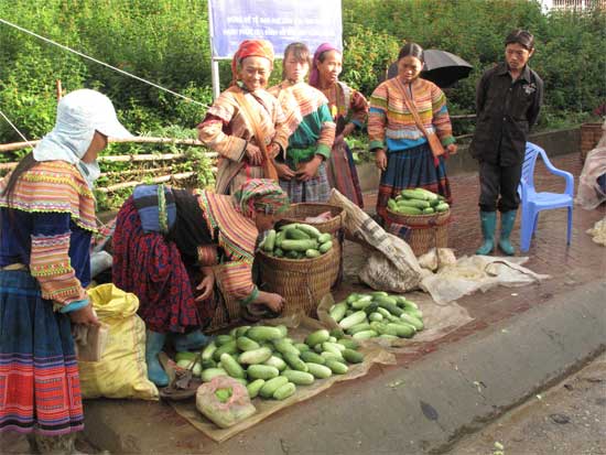Flower H'mong want to sell you a cucumber.