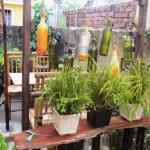 Don't be fooled by the bottles, May Concepts menu is soft drinks only.