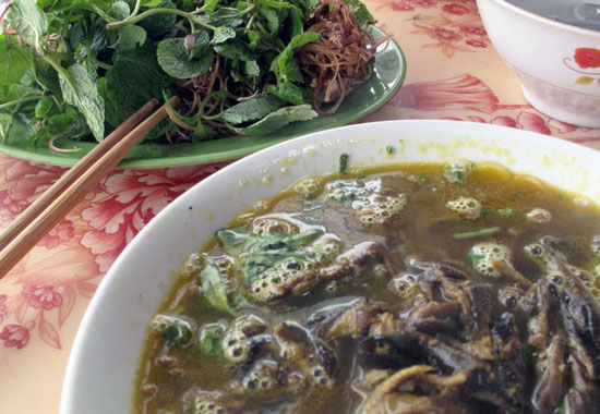 ninh8