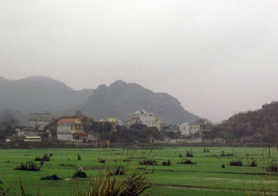 ninh9