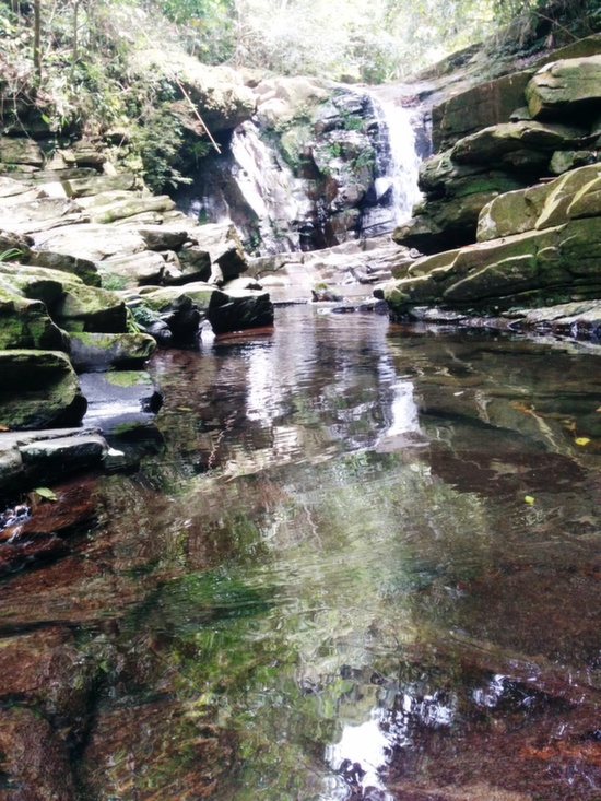 A rather chilly, Silvery Fall.